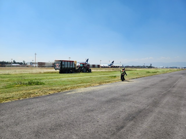 Servicios de poda en aeropuertos — imagen 1