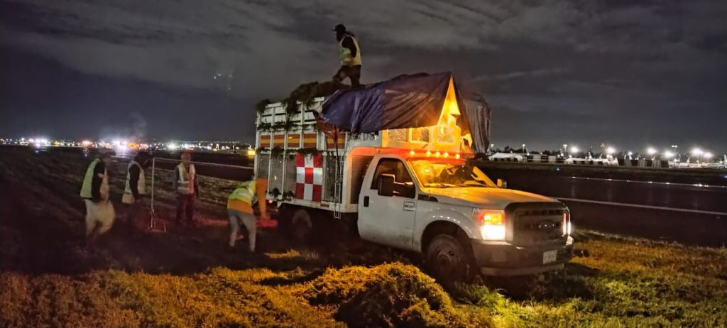 Servicios de poda en aeropuertos — imagen 2