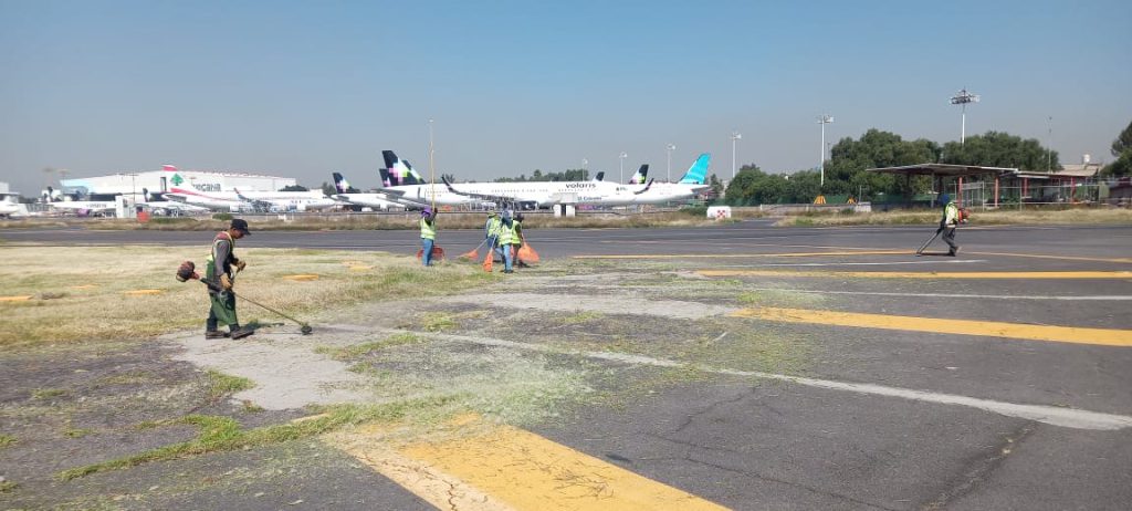 Servicios de poda en aeropuertos — imagen 6