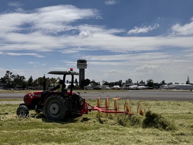 Servicios de poda en aeropuertos — imagen 7