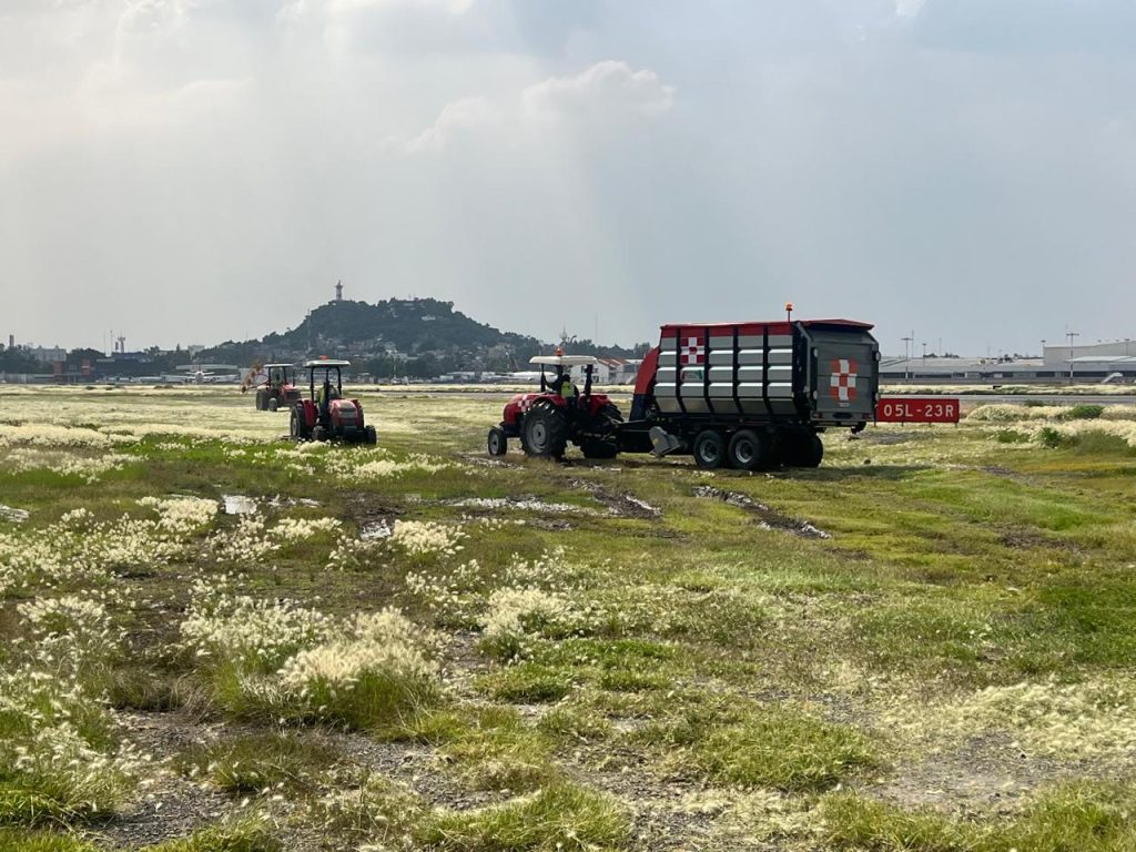 Servicios de poda en aeropuertos — imagen 8