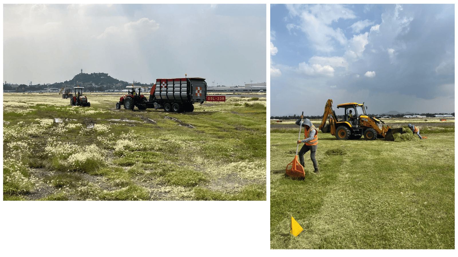 Servicios de Poda en Aeropuertos