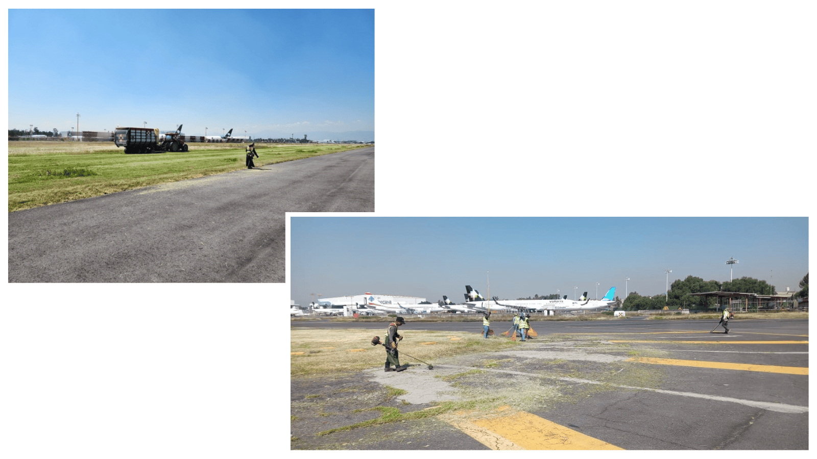 Servicios de Poda en Aeropuertos