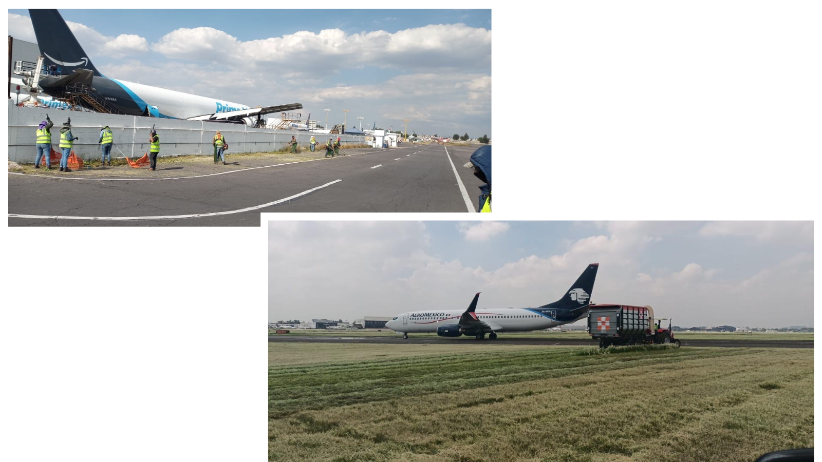 Servicios de Poda en Aeropuertos