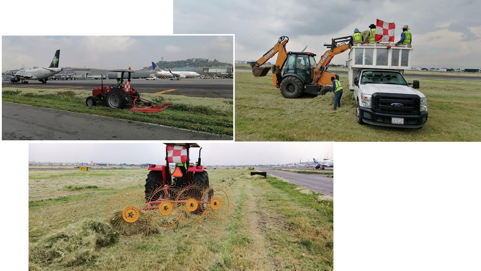 Servicios de Poda en Aeropuertos